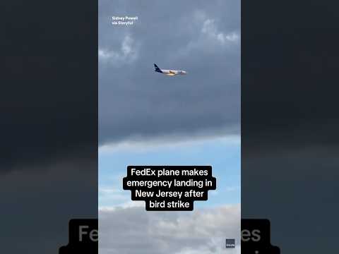 FedEx cargo plane's engine ignites in flames after bird strike #shorts