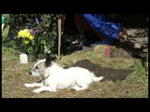 The Horsedrawn Camp Summer Solstice 2010 . . .