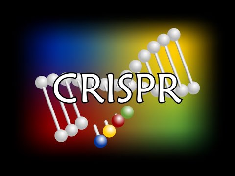 CRISPR 2.1 Overview