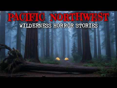 8 Most Disturbing True Pacific Northwest Forest Horror Stories | Twilight Diaries