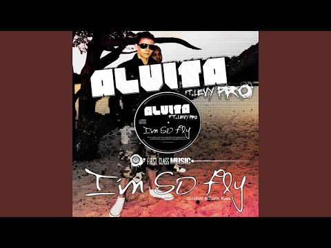 I'm So Fly (feat. Levy Pro) (Rocwell S and Volkan Saki Remix)