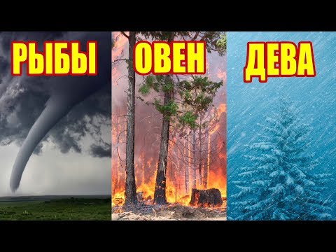 КАКОЕ ТЫ СТИХИЙНОЕ БЕДСТВИЕ ПО ЗНАКУ ЗОДИАКА