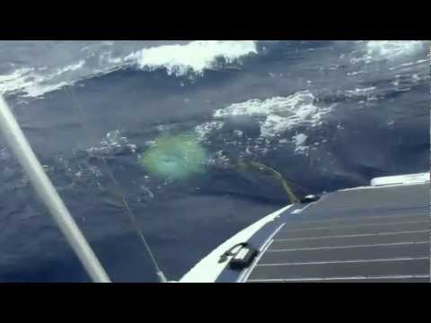 Tommy Tippetts Youngest Solo Atlantic Crossing