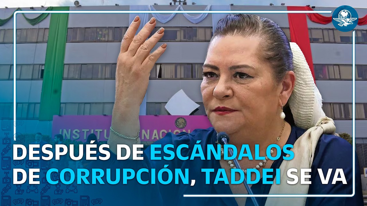Cae Taddei, su clan dio contratos por mil MDP a empresas favoritas #EnPortada