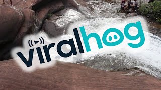 faze tari topogan in natura