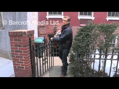 Oldest Dog In The World