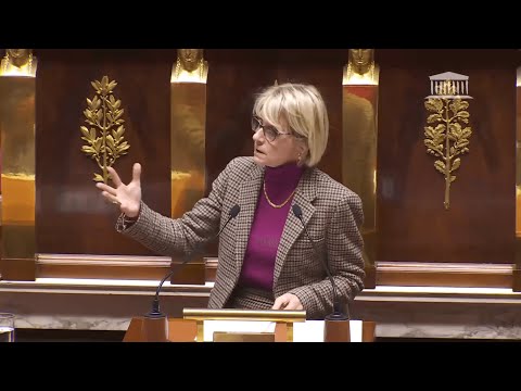 04/11/2022 Motion de censure (art. 49, al. 3 de la Constitution) : discussion et vote (1ère séa...
