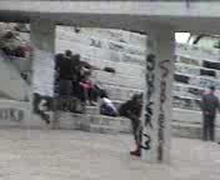 makria gaidara (xamenon patridon)