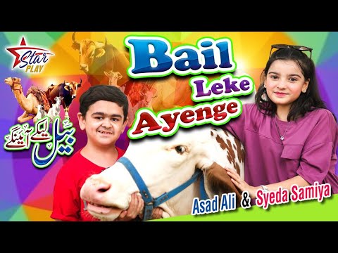 New Bakra Eid Song 2025 | Bail Leke Ayenge | Asad Ali | Syeda Samiya | Official Video | Star Play