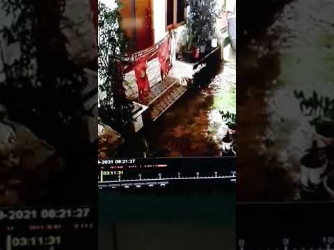 Berhati-hatilah DENGAN KENDARAAN KALIAN LG RAWAN MALING MOTOR...!!!