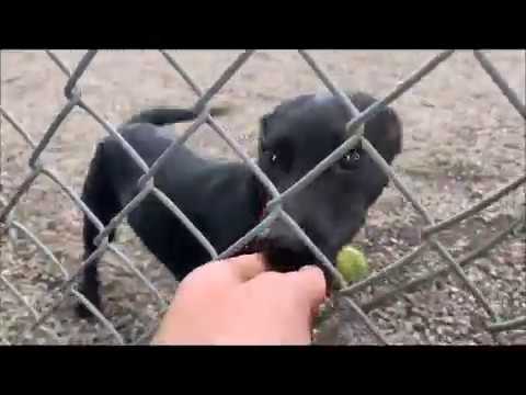 Playtime with Elisha