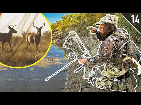 Hunting a BIG BUCK'S pattern! (October bow hunting)