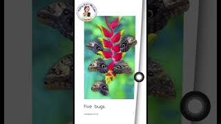 Counting bugs