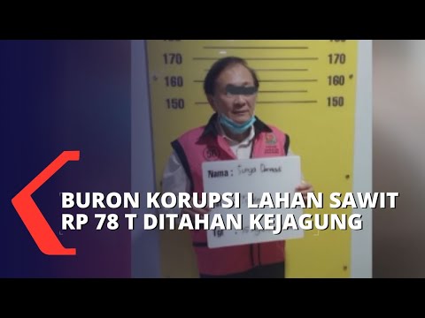 Surya Darmadi, Buron Megakorupsi Lahan Sawit Rp 78 T Ditahan Kejagung