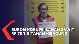 Surya Darmadi Buron Megakorupsi Lahan Sawit Rp 78 T Ditahan Kejagung Mp4 3GP & Mp3