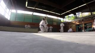 preview picture of video 'Stage de Toussaint 2014 Albanais Seyssel Judo Pays de Savoie'