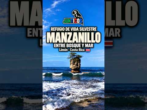 Un PARAÍSO entre la PLAYA y la SELVA | MANZANILLO, Limón 🇨🇷