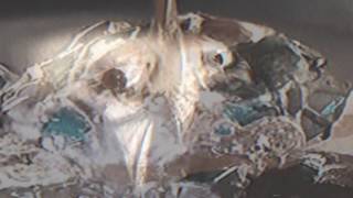 Ela Stiles - S.B. Mantra