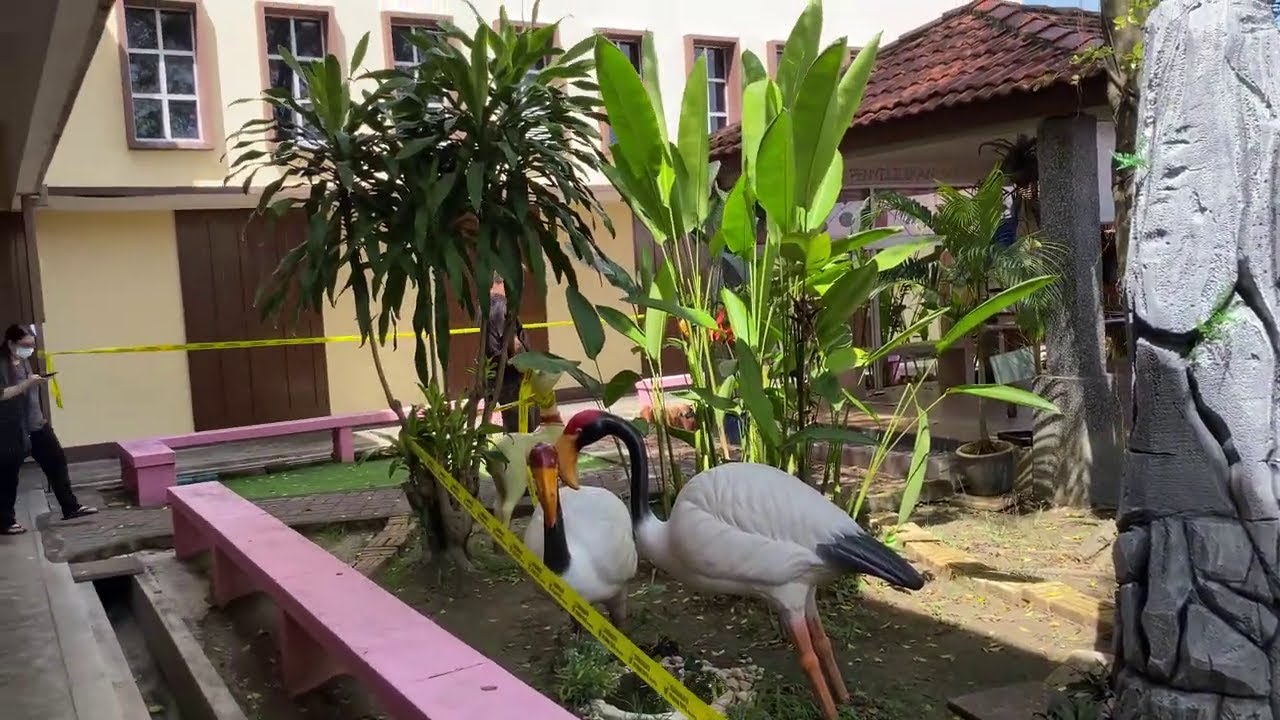 Voting at SRK Marian Convent, Ipoh, 19 Nov 2022