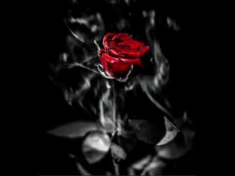 Sylver x Angemi Dave Crusher - Losing My Religion