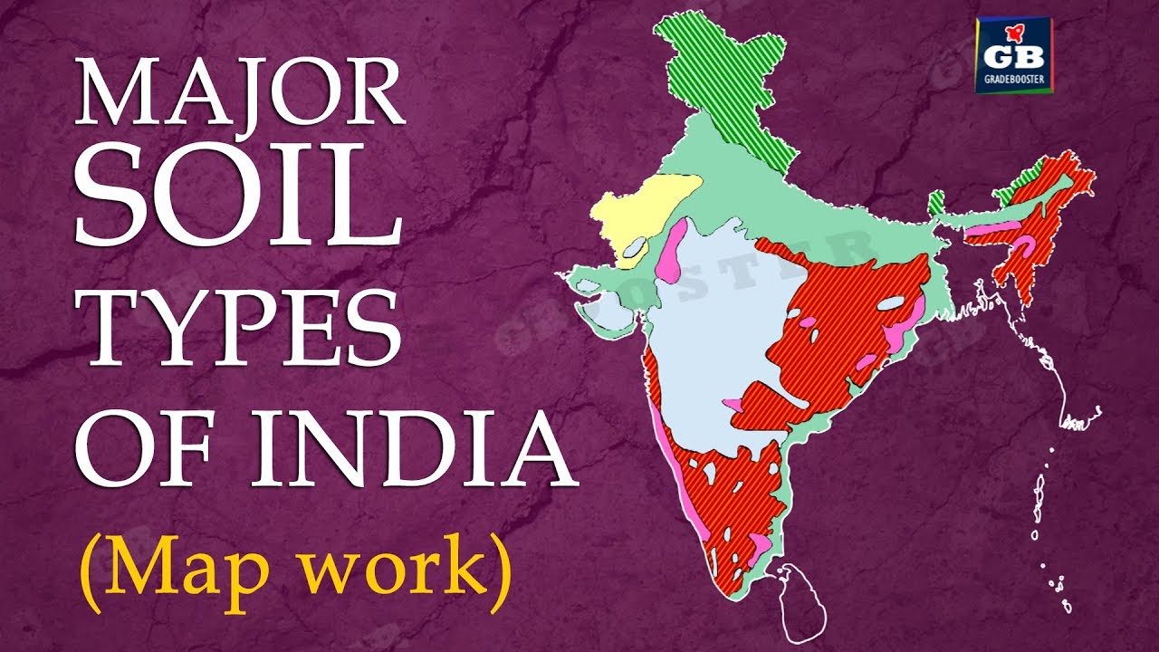 #Major soil types in india | MAP WORK| cbse|  ncert class 10 Geography| social science