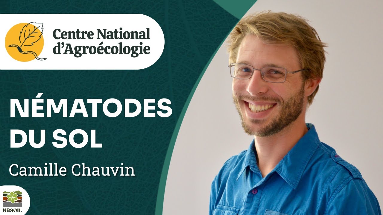 LES NÉMATODES, impact sur les cultures, comment les gérer, ELISOL - CNA