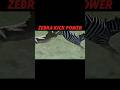 Animal With The Strongest Kick Trending Zebra Lion Cheetah Warthog Animals Wildlife Shorts