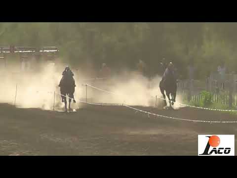 TAPATIO HIPODROMO DON NICO BAÑADO DE SOTO 13 03 2022