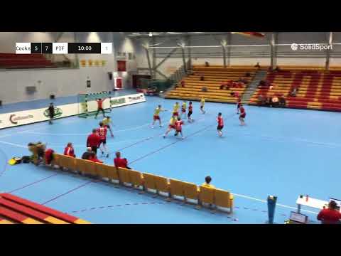 Cocks - PIF 10.4.2022