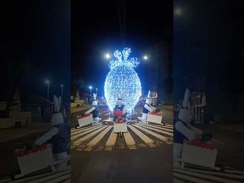 ITAPIRANGA SC 2026 SANTA CATARINA CIDADE CATARINENSE divisa RIO GRANDE DO SUL #shorts