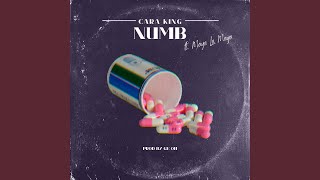 Numb Music Video