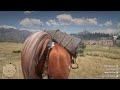 Accidental Close Up Of Horse Pooping