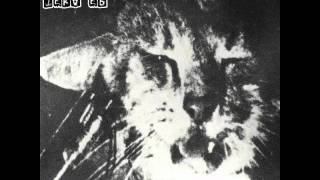 Datura Stramonium - Dichtung22