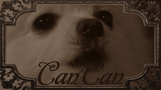 Gabe the Dog - Can Can