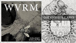 Colony Collapse Music Video