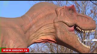 Грозненский дельфинарий откроется в мае этого года