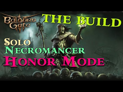 BG3 - Solo Necromancer Build for Honour Mode!