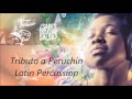 Tributo a Peruchin    Latin Percussion