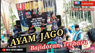 Download lagu AYAM JAGO - Versi BAJIDORAN nico entertainment mp3 Download lagu AYAM JAGO - Versi BAJIDORAN nico entertainment mp3