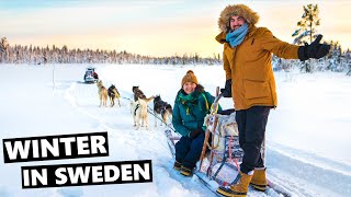 Incredible Dogsledding & Northern Lights In Lapland Sweden!!