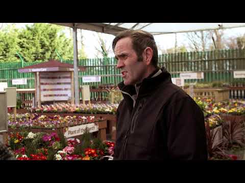 Super Garden - Episode Four Teaser