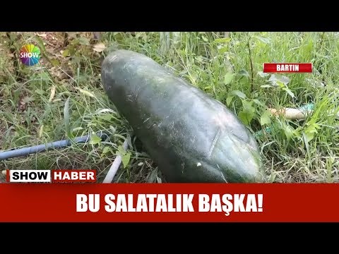 , title : 'Bu salatalık başka!'