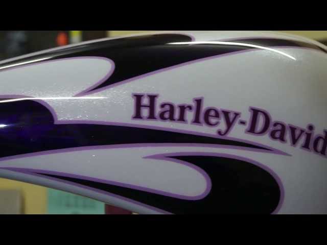 CUSTOMPAINT HARLEY-DAVIDSON FLST
