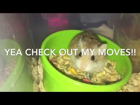 I’m looking for my friends