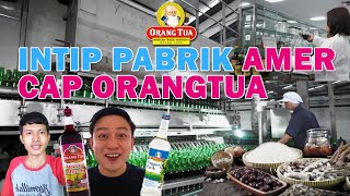 Download lagu Proses Pembuatan Anggur Merah Cap Orang Tua mp3 Download lagu Proses Pembuatan Anggur Merah Cap Orang Tua mp3
