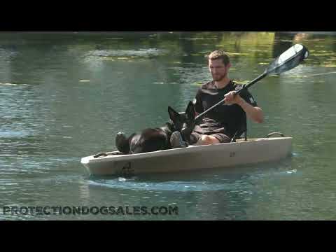 Taking A Trip On The River With "Fia"