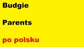 Budgie - Parents - po polsku - moje SWOBODNE tłumaczenie
