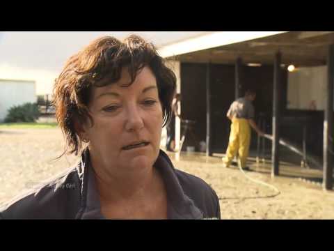 Donna Logan - Valley Girl