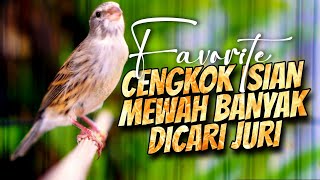Download lagu MATERI ISIAN MEWAH JAWARA ! MASTERAN KENARI ISIAN BLACKTHROAT GACOR PALING DICARI #28 mp3