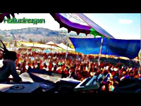 Simon Posford - Shpongle & Hallucinogen Live @ Hasamba Fest 16.9.11 by VJ GodZil